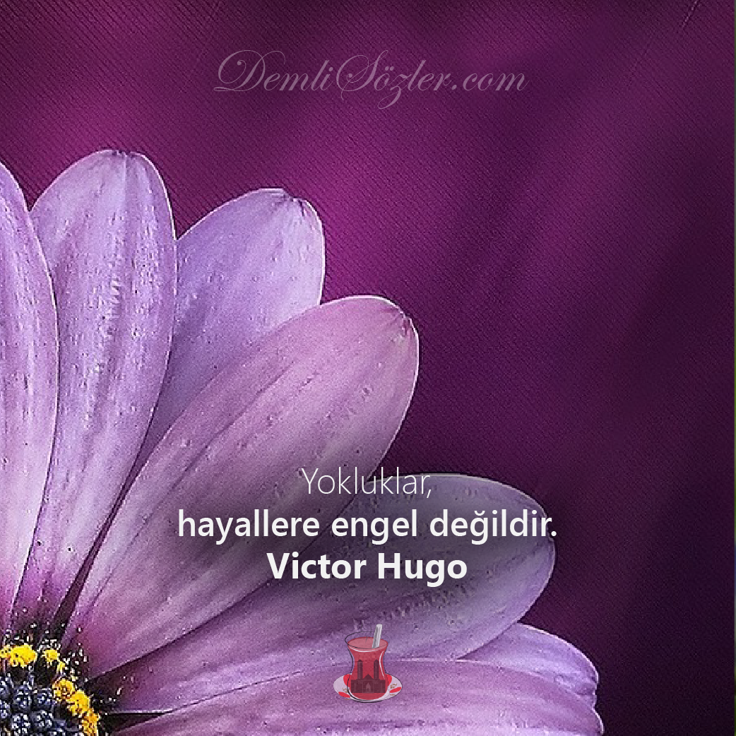 Yokluklar, hayallere engel değildir. - Victor Hugo
