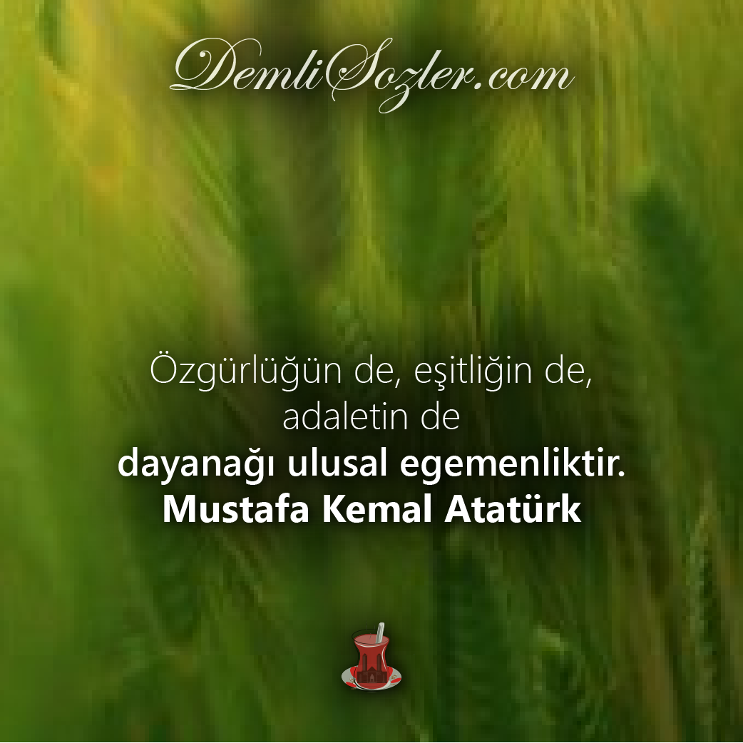 Özgürlüğün de, eşitliğin de adaletin de dayanağı ulusal egemenliktir. - Mustafa Kemal Atatürk