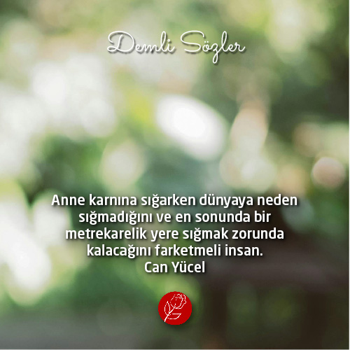 Anne karnına sığarken dünyaya neden sığmadığını ve en sonunda bir metrekarelik yere sığmak zorunda kalacağını farketmeli insan.
