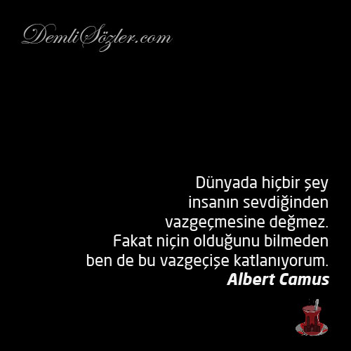 Dünyada hiçbir şey insanın sevdiğinden vazgeçmesine değmez. Fakat niçin olduğunu bilmeden ben de bu vazgeçişe katlanıyorum.