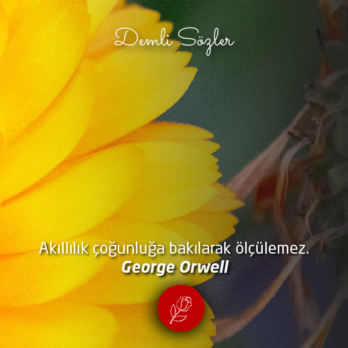Akıllılık çoğunluğa bakılarak ölçülemez.