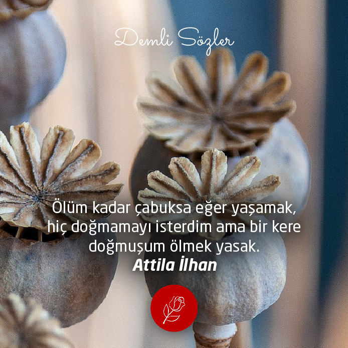 Ölüm kadar çabuksa eğer yaşamak, hiç doğmamayı isterdim ama bir kere doğmuşum ölmek yasak.