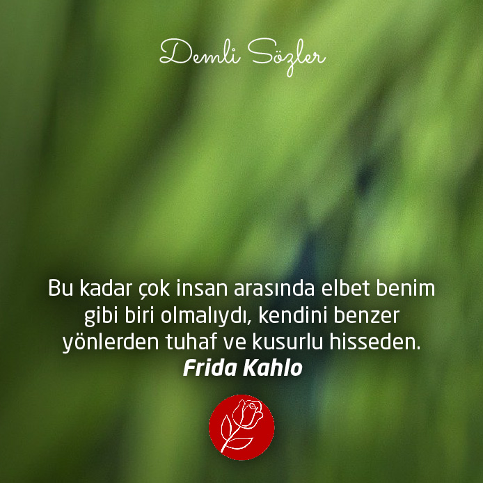 Bu kadar çok insan arasında elbet benim gibi biri olmalıydı, kendini benzer yönlerden tuhaf ve kusurlu hisseden.