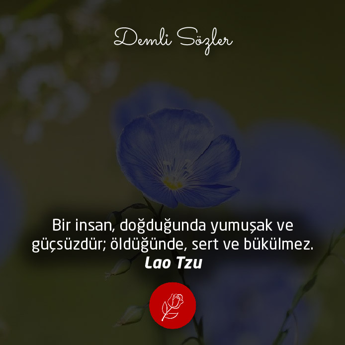 Bir insan, doğduğunda yumuşak ve güçsüzdür; öldüğünde, sert ve bükülmez.