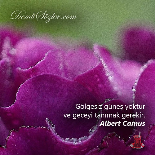 Gölgesiz güneş yoktur ve geceyi tanımak gerekir.