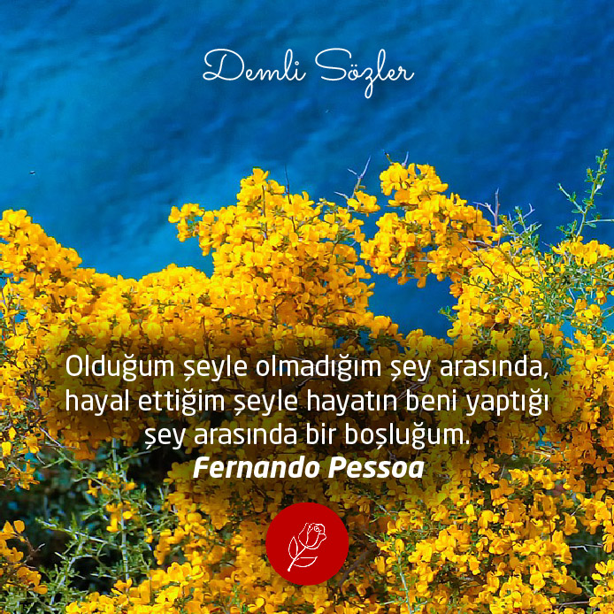 Olduğum şeyle olmadığım şey arasında, hayal ettiğim şeyle hayatın beni yaptığı şey arasında bir boşluğum. - Fernando Pessoa
