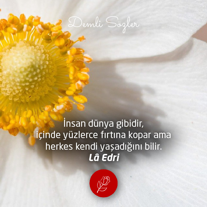 İnsan dünya gibidir, içinde yüzlerce fırtına kopar ama herkes kendi yaşadığını bilir.