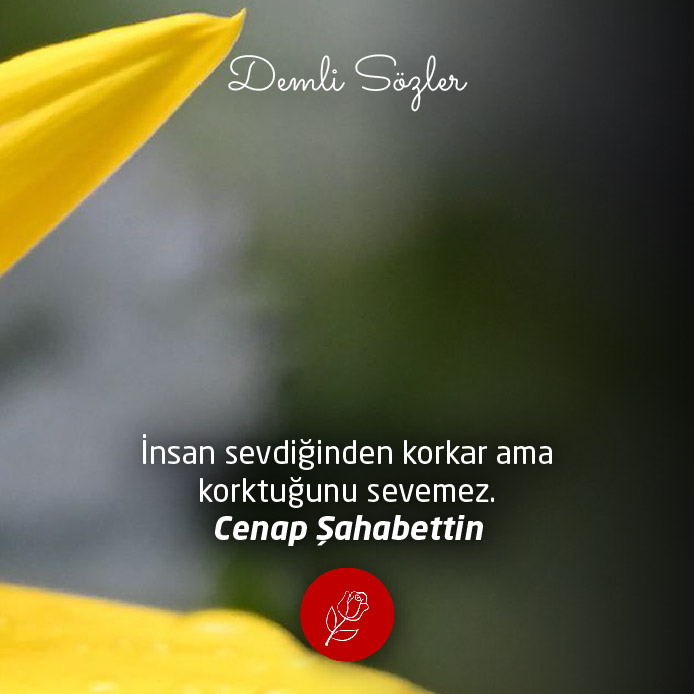 İnsan sevdiğinden korkar ama korktuğunu sevemez.