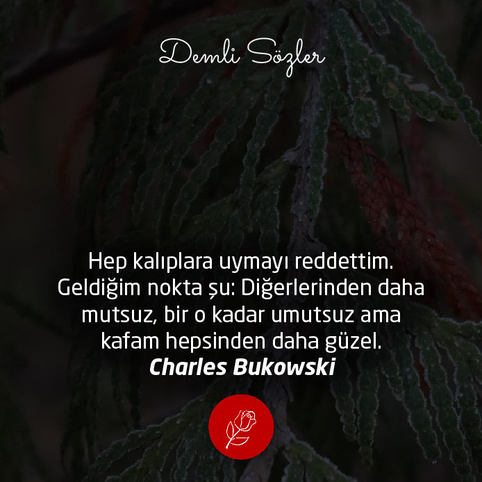 Hep kalıplara uymayı reddettim. Geldiğim nokta şu: Diğerlerinden daha mutsuz, bir o kadar umutsuz ama kafam hepsinden daha güzel.
