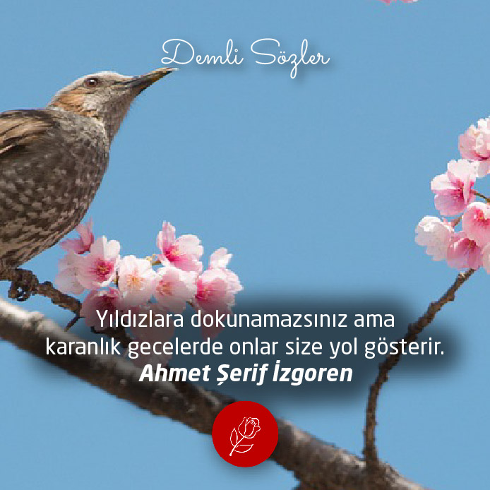 Yıldızlara dokunamazsınız ama karanlık gecelerde onlar size yol gösterir.