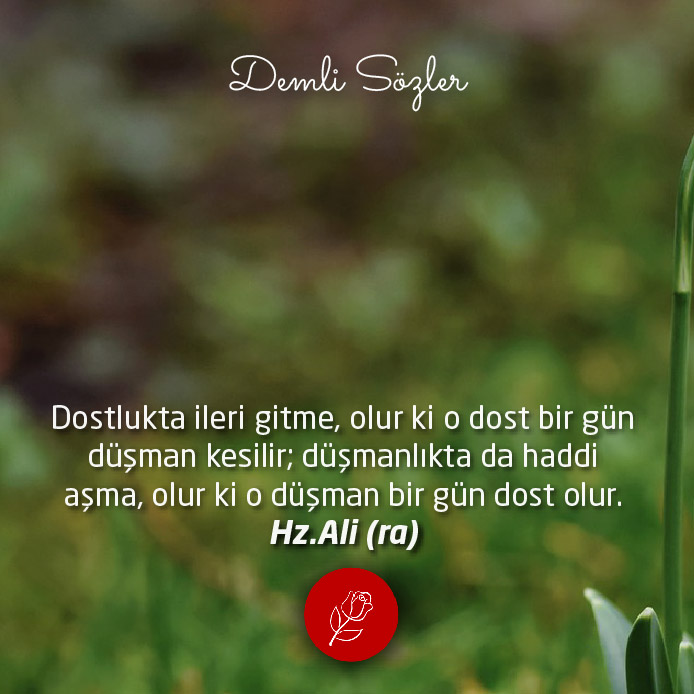 Dostlukta ileri gitme, olur ki o dost bir gün düşman kesilir; düşmanlıkta da haddi aşma, olur ki o düşman bir gün dost olur.