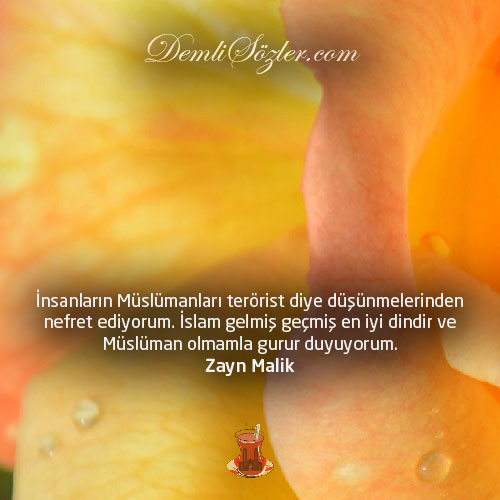 İnsanların Müslümanları terörist diye düşünmelerinden nefret ediyorum. İslam gelmiş geçmiş en iyi dindir ve Müslüman olmamla gurur duyuyorum. - Zayn Malik