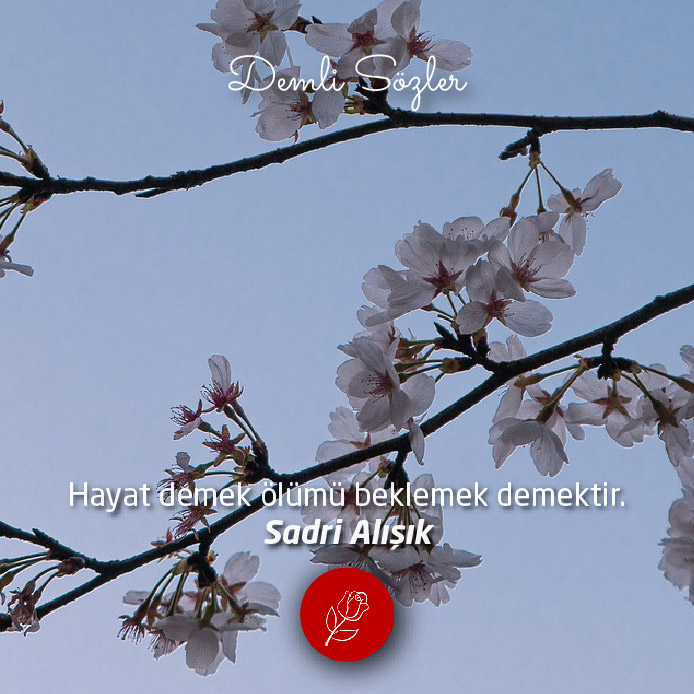 Hayat demek ölümü beklemek demektir.