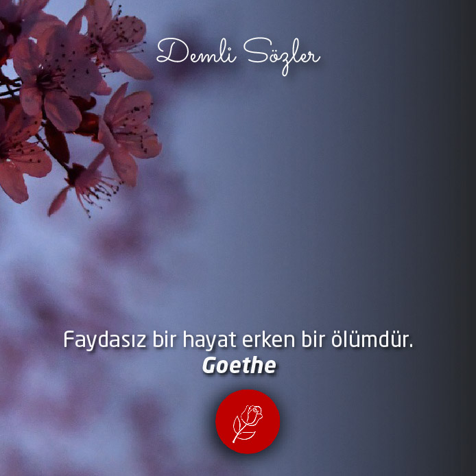 Faydasız bir hayat erken bir ölümdür.