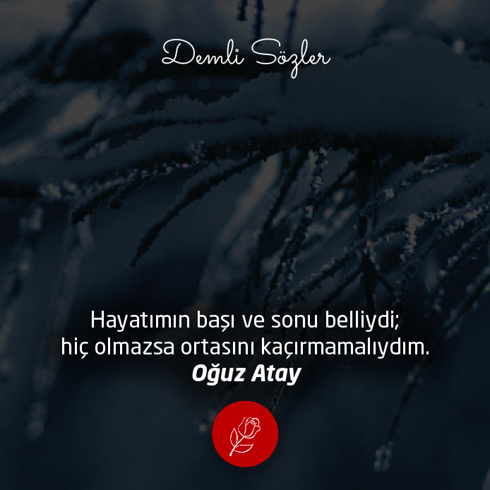 Hayatımın başı ve sonu belliydi; hiç olmazsa ortasını kaçırmamalıydım.