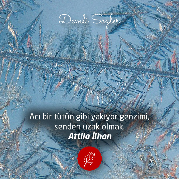 Acı bir tütün gibi yakıyor genzimi, senden uzak olmak.