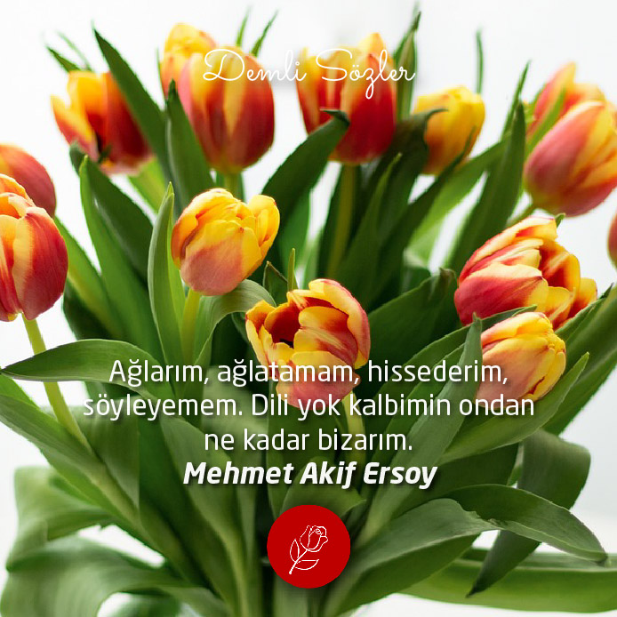 Ağlarım, ağlatamam, hissederim, söyleyemem. Dili yok kalbimin ondan ne kadar bizarım.