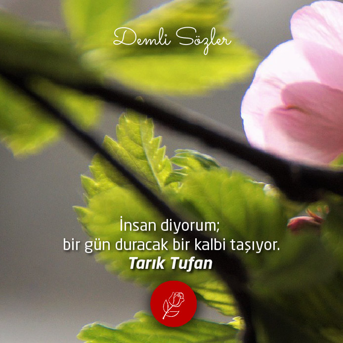 İnsan diyorum; bir gün duracak bir kalbi taşıyor.