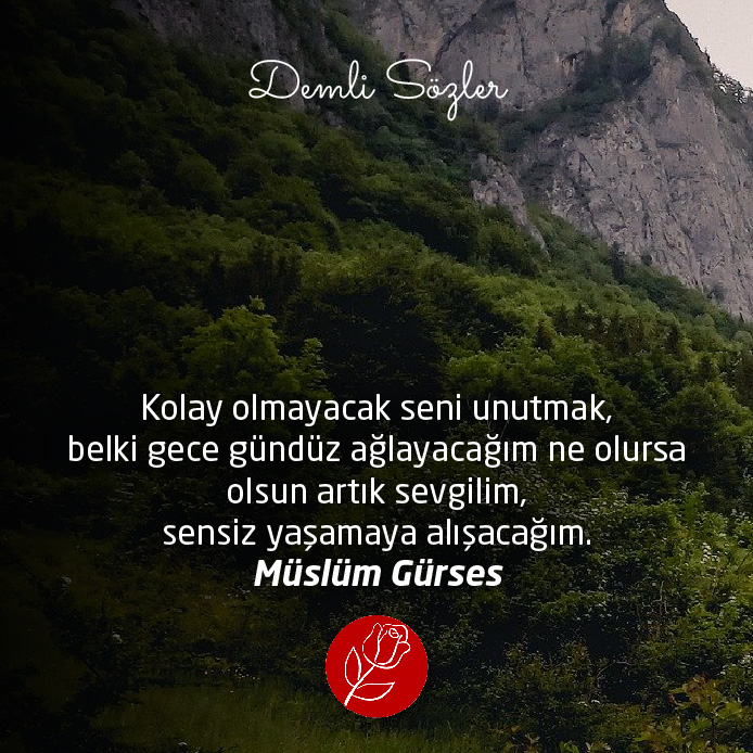 Kolay olmayacak seni unutmak, belki gece gündüz ağlayacağım ne olursa olsun artık sevgilim, sensiz yaşamaya alışacağım.