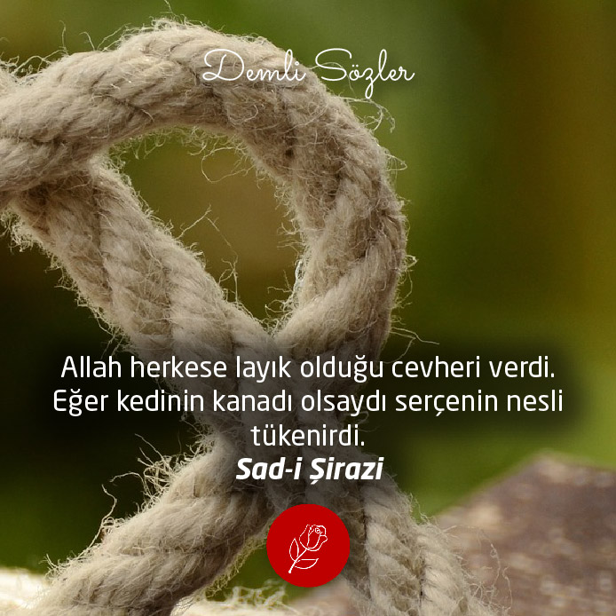 Allah herkese layık olduğu cevheri verdi. Eğer kedinin kanadı olsaydı serçenin nesli tükenirdi.