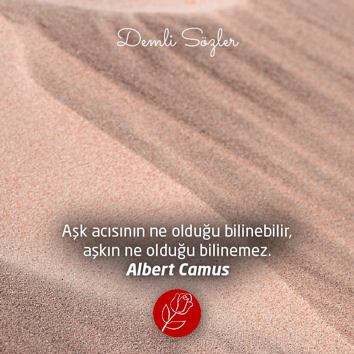 Aşk acısının ne olduğu bilinebilir, aşkın ne olduğu bilinemez.