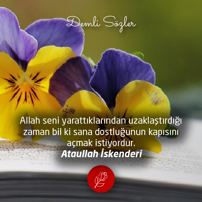 Allah seni yarattıklarından uzaklaştırdığı zaman bil ki sana dostluğunun kapısını açmak istiyordur.