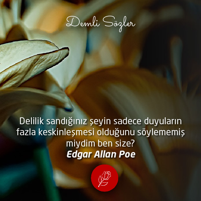 Delilik sandığınız şeyin sadece duyuların fazla keskinleşmesi olduğunu söylememiş miydim ben size?
