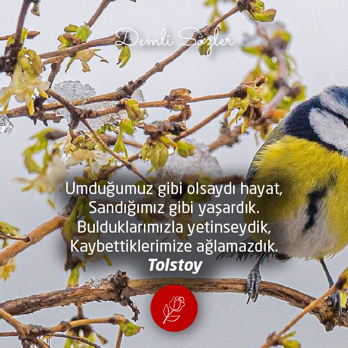 Umduğumuz gibi olsaydı hayat, Sandığımız gibi yaşardık. Bulduklarımızla yetinseydik, Kaybettiklerimize ağlamazdık.