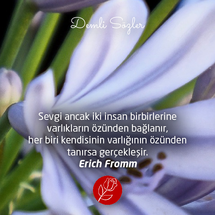 Sevgi ancak iki insan birbirlerine varlıkların özünden bağlanır, her biri kendisinin varlığının özünden tanırsa gerçekleşir. - Erich Fromm