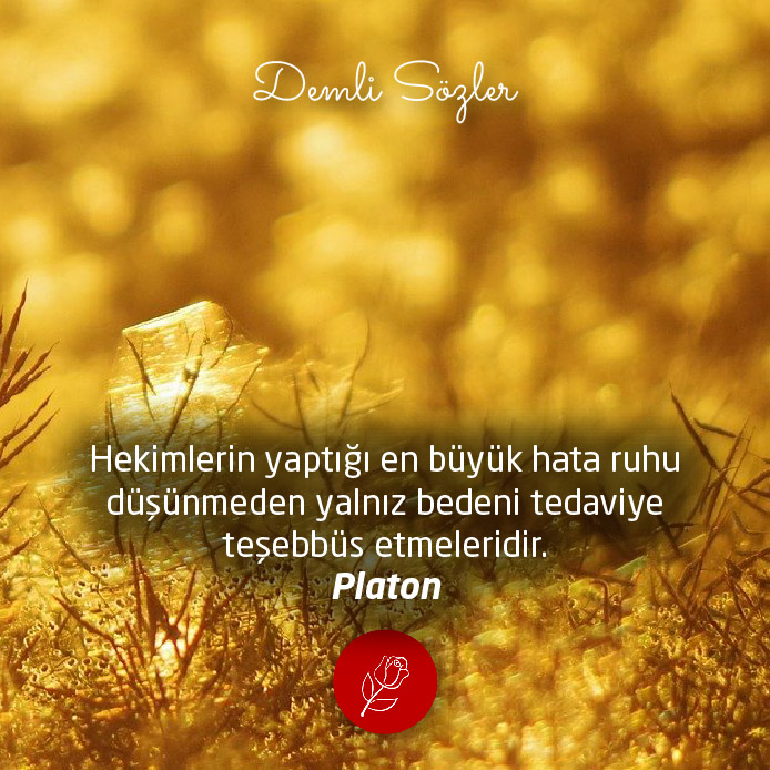 Hekimlerin yaptığı en büyük hata ruhu düşünmeden yalnız bedeni tedaviye teşebbüs etmeleridir.