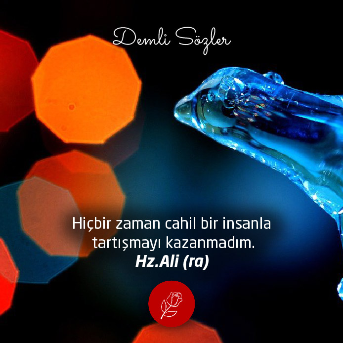 Hiçbir zaman cahil bir insanla tartışmayı kazanmadım.