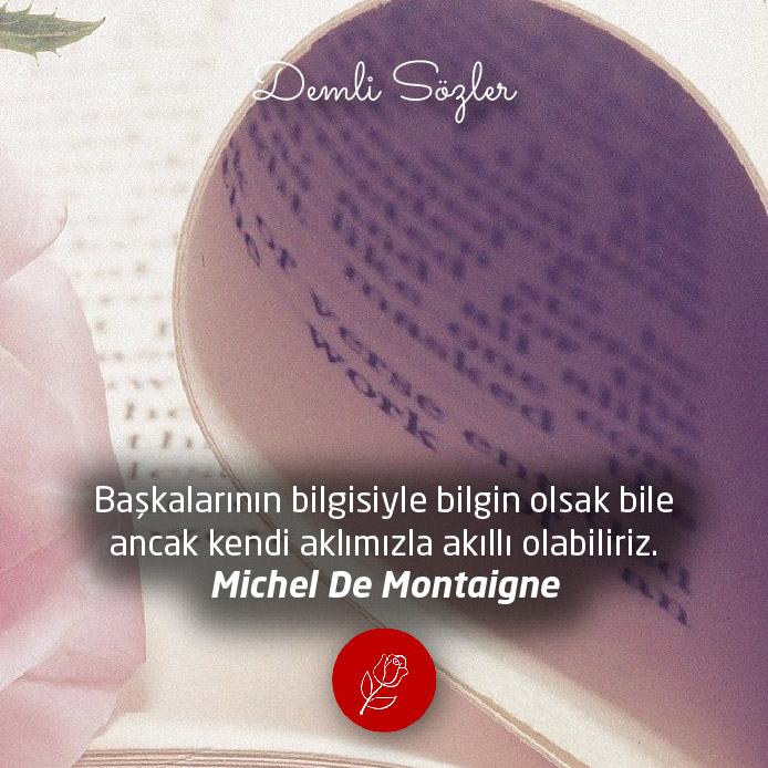 Başkalarının bilgisiyle bilgin olsak bile ancak kendi aklımızla akıllı olabiliriz. - Michel De Montaigne