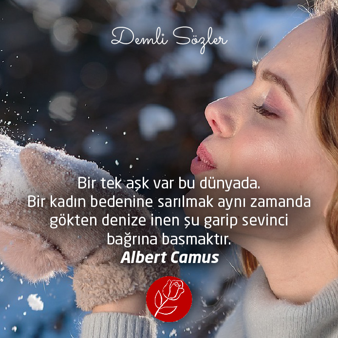 Bir tek aşk var bu dünyada. Bir kadın bedenine sarılmak aynı zamanda gökten denize inen şu garip sevinci bağrına basmaktır.