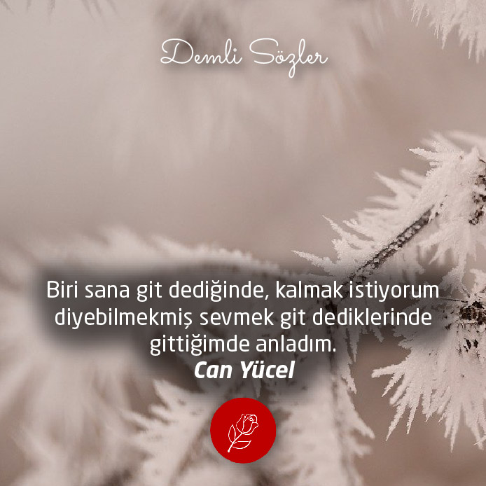 Biri sana git dediğinde, kalmak istiyorum diyebilmekmiş sevmek git dediklerinde gittiğimde anladım.