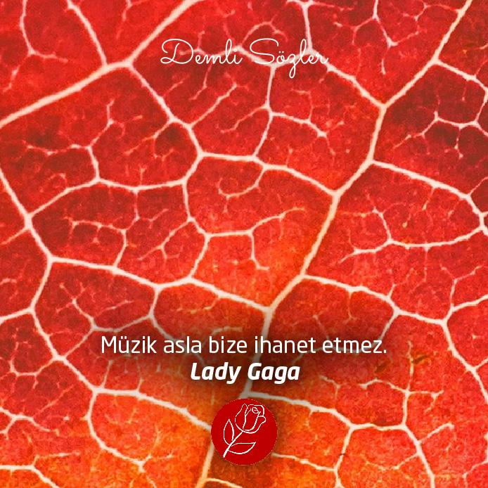 Müzik asla bize ihanet etmez. Lady Gaga