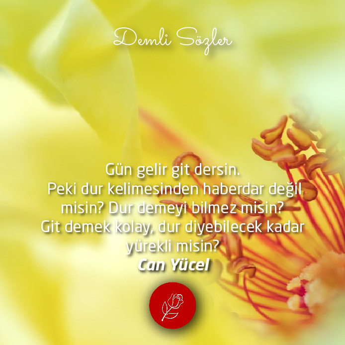 Gün gelir git dersin. Peki dur kelimesinden haberdar değil misin? Dur demeyi bilmez misin? Git demek kolay, dur diyebilecek kadar yürekli misin?