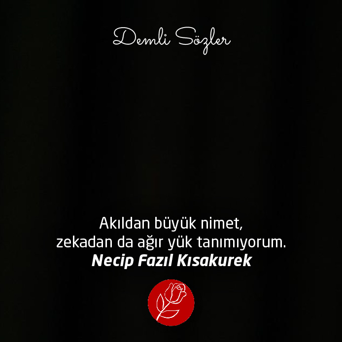 Akıldan büyük nimet, zekadan da ağır yük tanımıyorum.