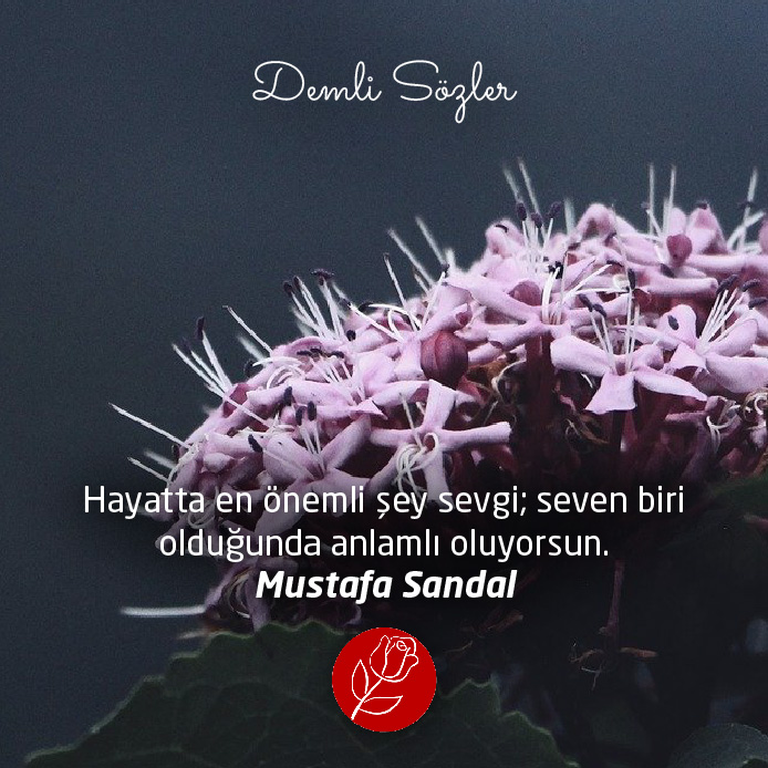 Hayatta en önemli şey sevgi; seven biri olduğunda anlamlı oluyorsun.