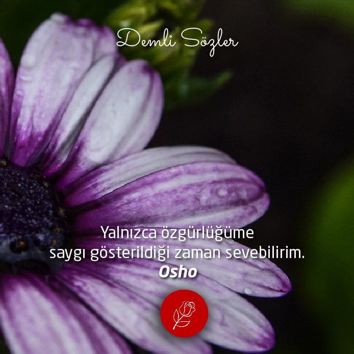 Yalnızca özgürlüğüme saygı gösterildiği zaman sevebilirim.