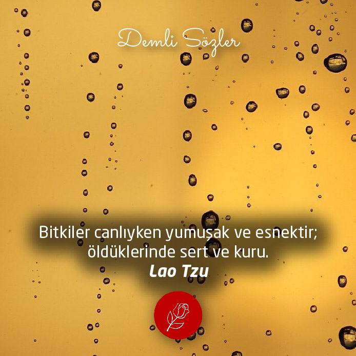 Bitkiler canlıyken yumuşak ve esnektir; öldüklerinde sert ve kuru.