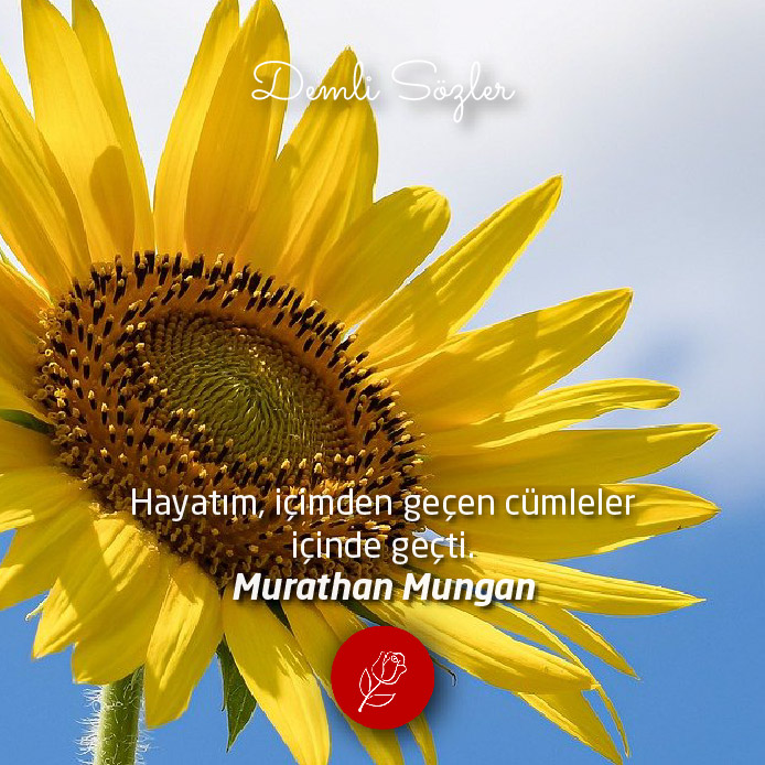 Hayatım, içimden geçen cümleler içinde geçti.