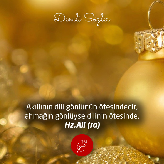 Akıllının dili gönlünün ötesindedir, ahmağın gönlüyse dilinin ötesinde.