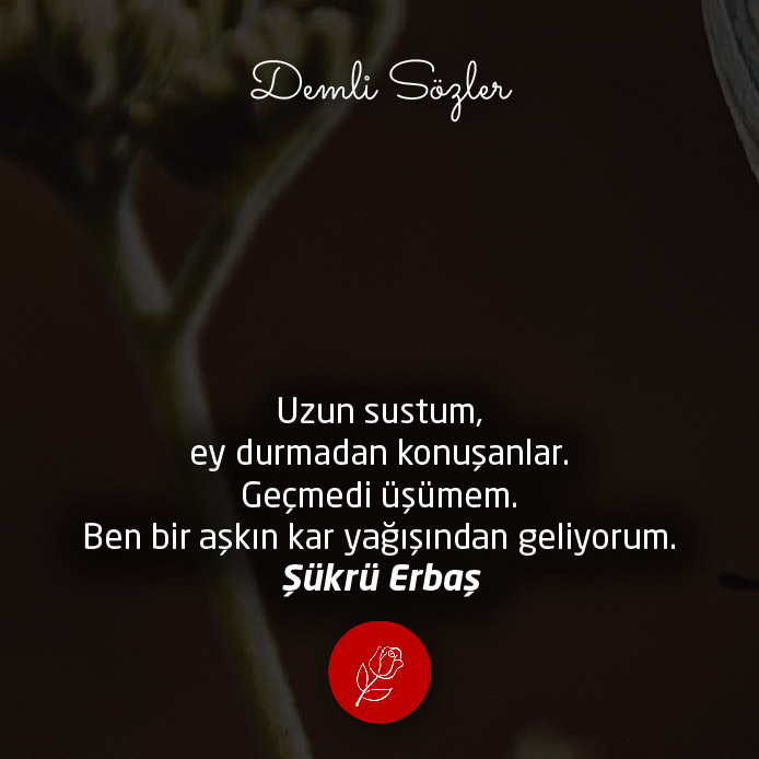 Uzun sustum, ey durmadan konuşanlar. Geçmedi üşümem. Ben bir aşkın kar yağışından geliyorum.