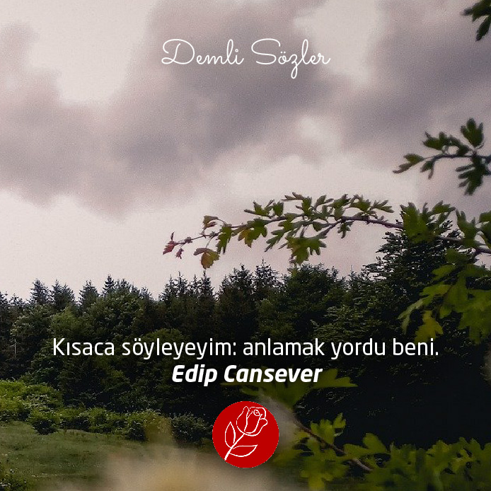 Kısaca söyleyeyim: anlamak yordu beni.