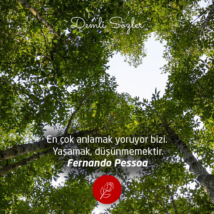En çok anlamak yoruyor bizi. Yaşamak, düşünmemektir. - Fernando Pessoa