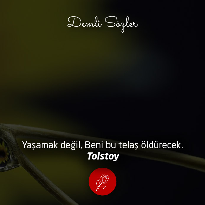 Yaşamak değil, Beni bu telaş öldürecek.