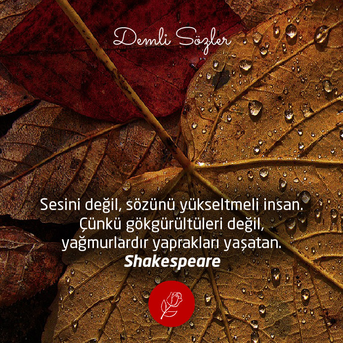 Sesini değil, sözünü yükseltmeli insan. Çünkü gökgürültüleri değil, yağmurlardır yaprakları yaşatan.