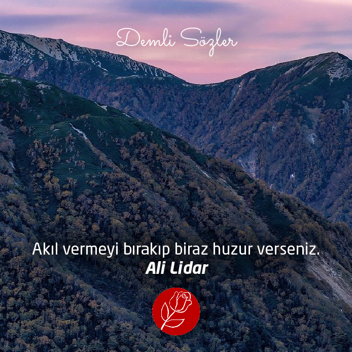 Akıl vermeyi bırakıp biraz huzur verseniz.