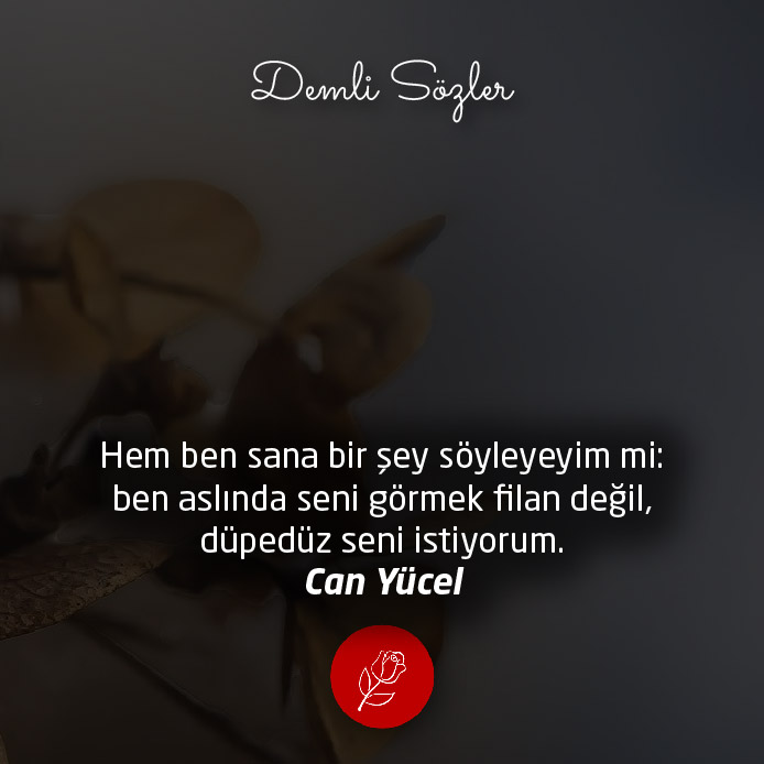 Hem ben sana bir şey söyleyeyim mi: ben aslında seni görmek filan değil, düpedüz seni istiyorum.