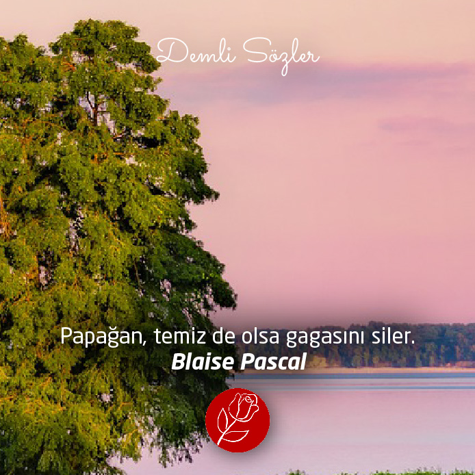 Papağan, temiz de olsa gagasını siler. - Blaise Pascal